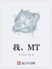 我Mt提秃头
