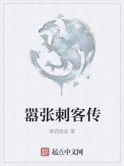 坑爹的幽冥刺客传攻略